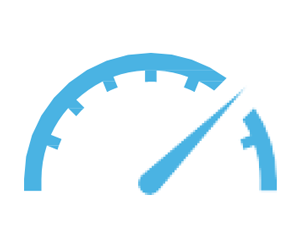 Speed Icon