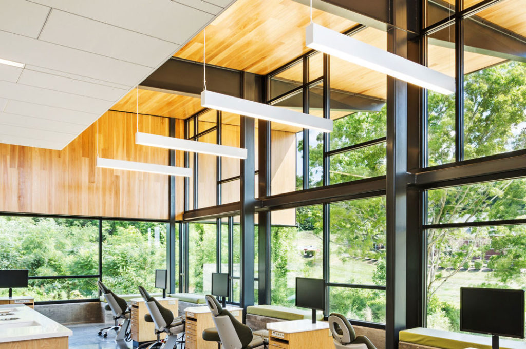 P46 P43 Hicks Ortho1 Lightspec